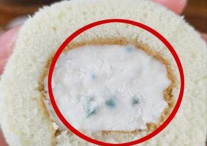 빵 크림에 곰팡이가 콕콕…먹고 탈났는데 업체는 "인터넷 올려라"