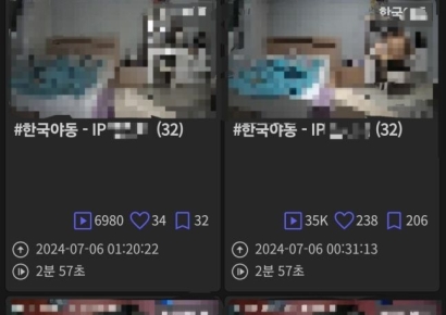 여성 사생활 영상, 음란사이트에 대량 유출됐다…'중국산 IP캠 주의'