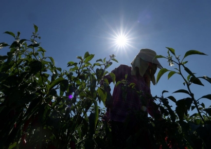 2019년 이후 5년만에 경기 여주시 '40도'…역대 8번째 기온