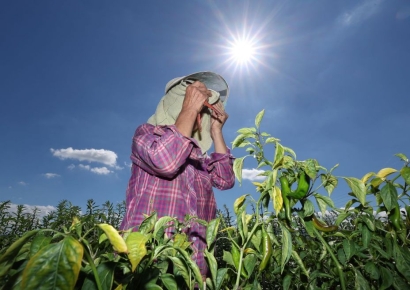 폭염에 '밥상물가'도 불안…대통령실 "개별품목별 대응"