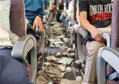 '라면이었으면 큰일 날 뻔'…기내식 먹다 난기류 만난 비행기 '난장판'