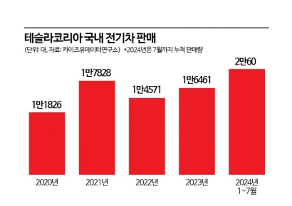 중국서 만든 'Y' 벤츠 E클래스 제쳐…국내 판매 2만대 돌파한 테슬라