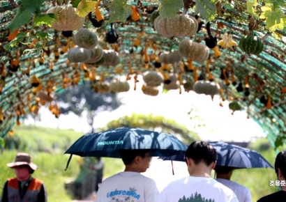 [포토] 입추와 양산