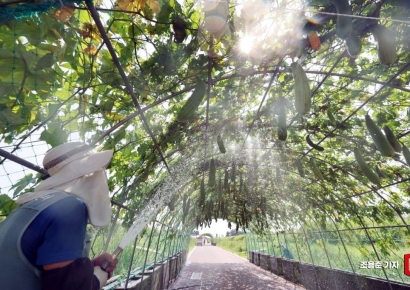 [포토] 시원한 물줄기