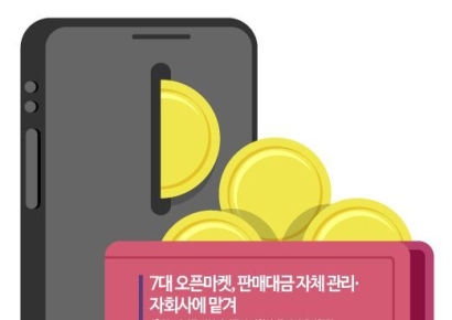 [단독]7대 오픈마켓, 자체PG·자회사 운영…“분리 필요”