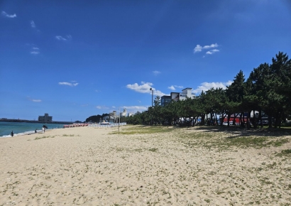 대단지 주거타운 강릉 견소동 ‘오션시티 아이파크’ 아파트 관심