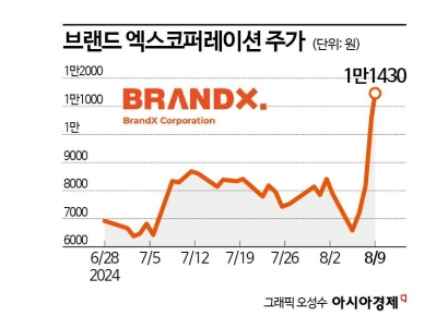 브랜드엑스코퍼레이션 '깜짝 실적'으로 시총 3000억 돌파