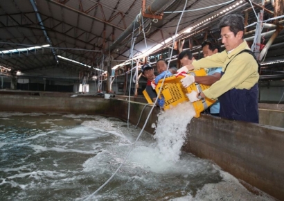 해수부, 고수온 피해어가에 재난지원금 238억원 추가 지원