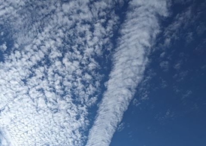 "지진운 모양 보니 이 날 대지진 올 듯 "…SNS서 괴담 확산하는 日