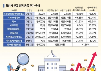 하반기 IPO 시장 살펴봤더니…공모가 하회 '속출'