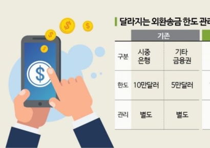 [단독]핀테크도 '무증빙 해외송금' 10만달러까지 확대