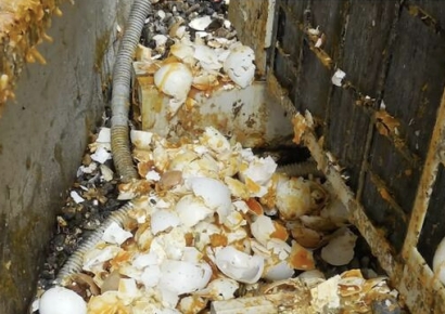 에어컨 실외기에 날달걀 투척…범행 장면 영상에도 발뺌한 이웃의 만행, 日 공분