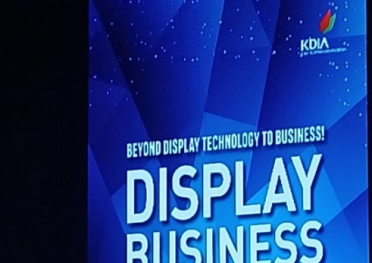 "中, OLED에서 韓 추월…매출은 5년 뒤 재점검해야"(종합)