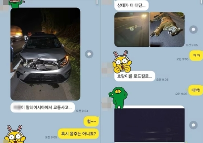 말레이서 동물쳤다는 지인…고양잇과는 맞는데 '화들짝' 놀란 이유