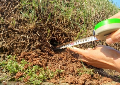 '봉분 훼손' 세계문화유산 선릉 테러한 50대 여성 체포(종합)