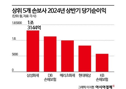 손해보험사, 상반기 실적 사상 최대…IFRS17 효과 언제까지