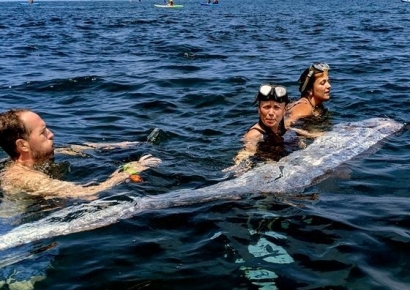 대지진 전조인가…3.6m 심해 산갈치 미국 해안서 발견