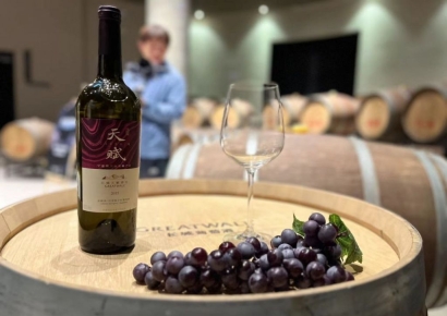 [베이징 다이어리] 시진핑이 닝샤로 가는 까닭은