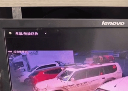 새벽 호텔 찾아간 불곰, 잠자던 직원 옆에서 뭐하나 봤더니