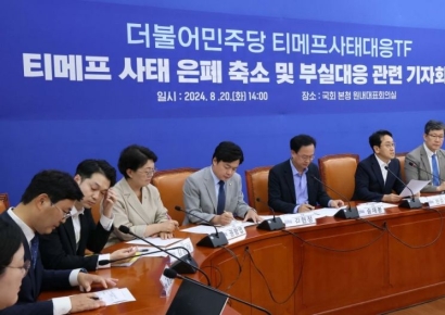 [포토] 민주, 티메프 사태 은폐 축소 및 부실대응 관련 기자회견