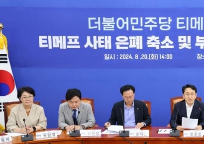 [포토] 민주 "국힘, 정무위서 티메프 긴급 현안 회의해야"