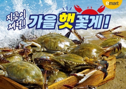 "가을 햇꽃게가 돌아왔다"…이마트, 최대 반값 할인판매