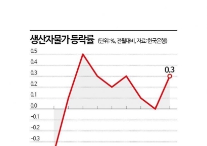 폭우에 농수산물 가격 오르자…7월 생산자물가 재상승