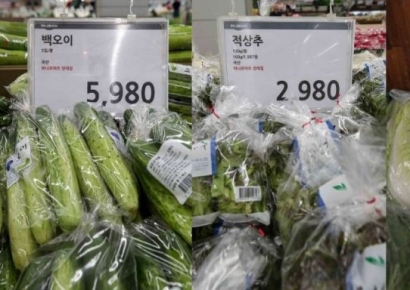 [포토] 폭염에 '채소값 비상'