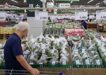 [포토] 최악의 폭염 '채소류 가격 상승'
