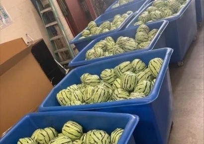 수박 모양이 왜 저래?…미국 세관에 딱 걸린 멕시코 화물의 정체