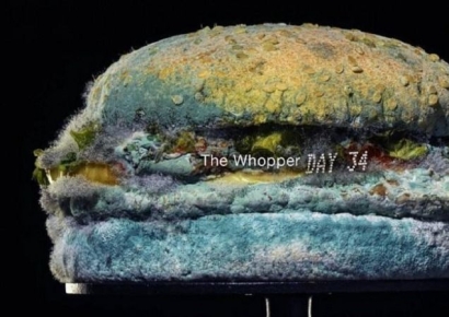 수십년 안 썩는 외국 햄버거, 같은 밀가루 쓴 한국은?[시론]