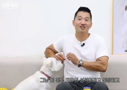 3개월만에 돌아온 강형욱, 유튜브 활동 재개에 "다시 나와줘서 고맙다" 응원