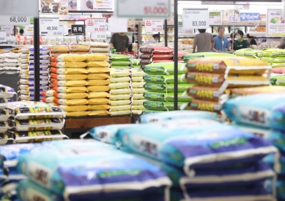 정부 "쌀값 안정 위해 5만t 추가 매입"…내달 한우 수급 안정책 발표