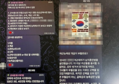 "여군 벗겨서 망가뜨려"…이번엔 현역 군인 딥페이크 대화방 '충격'