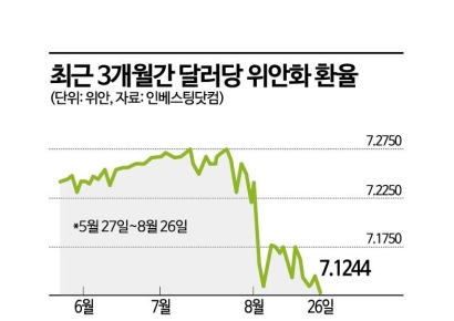 엔 다음은 위안화? 새로운 캐리트레이드 주목