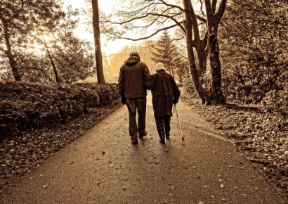 "할머니 뇌사인데"…합의금 받은 할아버지에 분통 터진 손주