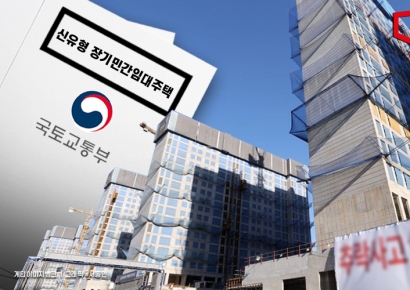 "100세대 이상 크게, 20년 이상 길게"…민간임대주택, 기업이 짓는다