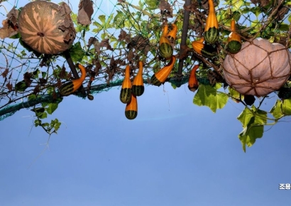 [포토] 조금씩 가을이 오나봐