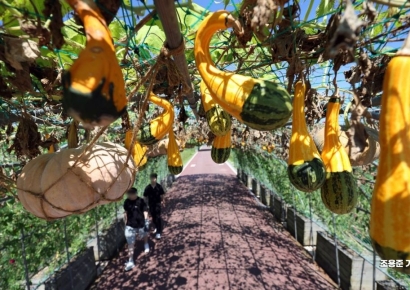 [포토] 다가오는 가을