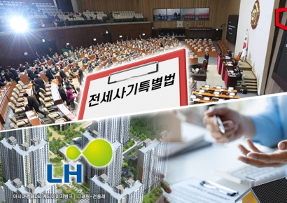 전세사기특별법 국회 통과…'LH 공공임대주택' 최장 20년 제공