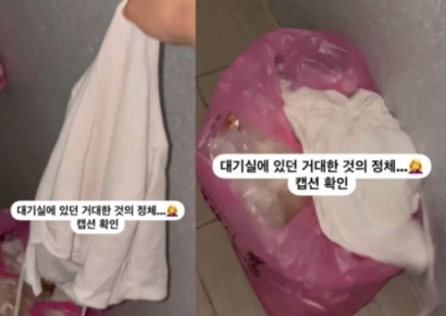 아이돌 대기실서 진동한 썩은 내…소파 뒤 '흰 덩어리'에 기겁