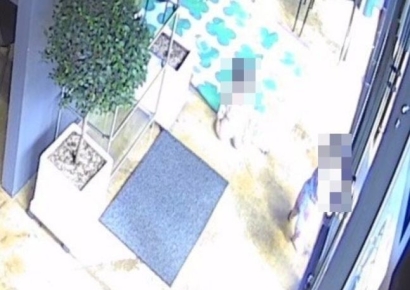 손님없다며 식당에 돗자리 깔더니 아이들 놀게한 부모