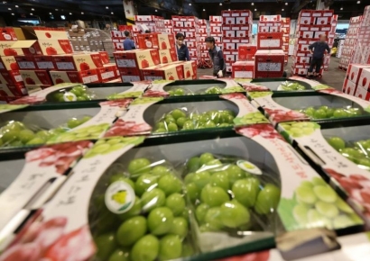 [포토] 추석 대목 앞두고 분주한 가락시장