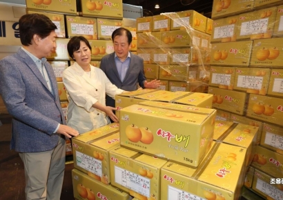 [포토] 농산물 수급 현황 점검하는 송미령 장관