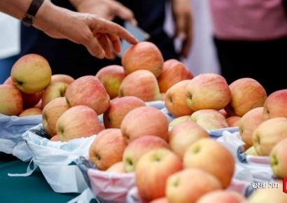[포토] '탐스러운 사과 한가득'