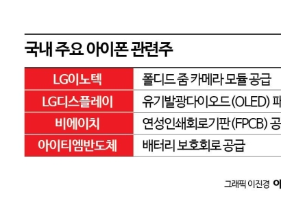 "AI 아이폰 효과 내년까지 간다" 국내 부품株 '관심'