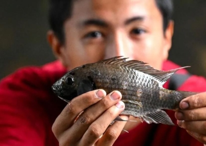 "1㎏ 잡아오면 600원 준다"…하천 점령한 '괴물'에 난리난 태국
