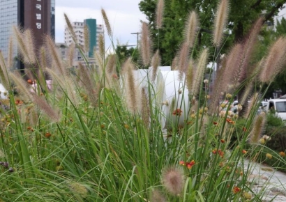 [포토] 가을이 온다