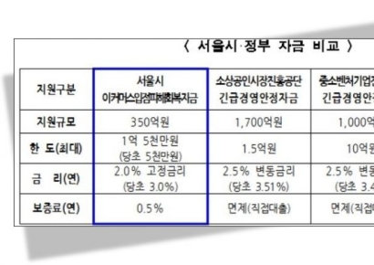 서울시, 티메프 피해 확대 지원… '융자액 높이고 금리 낮추고'