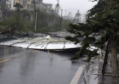 나무 뿌리째 뽑은 태풍 '야기' 베트남 강타…4명 사망·78명 부상